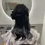 Kazueのプロフィール画像
