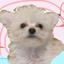 ももものプロフィール画像