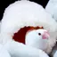 ちぃのプロフィール画像