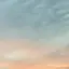 あーのプロフィール画像