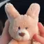 くまのプロフィール画像