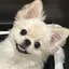 まおのプロフィール画像