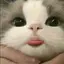 mのプロフィール画像