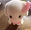 misakiのプロフィール画像