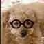 REXのプロフィール画像
