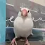 ゆぅなのプロフィール画像