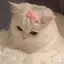 瑠那のプロフィール画像