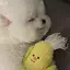 りんごのプロフィール画像