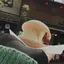 ueのプロフィール画像