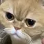 すずきのプロフィール画像