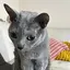 rのプロフィール画像