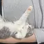 じぇにのプロフィール画像