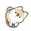 🐶のプロフィール画像
