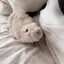 オネズのプロフィール画像