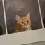 さわのプロフィール画像