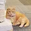 あきのプロフィール画像