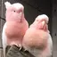 江美のプロフィール画像
