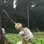 つぐのプロフィール画像