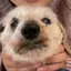 智和のプロフィール画像