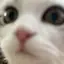 にゃのプロフィール画像