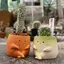 みやっちのプロフィール画像