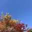 yuuuのプロフィール画像