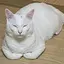 あやかしかのプロフィール画像