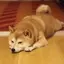 まゆのプロフィール画像