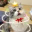 もものプロフィール画像