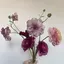 ❁︎のプロフィール画像
