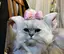 かおりんのプロフィール画像