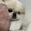 Sのプロフィール画像