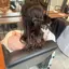うちだのプロフィール画像