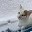 もっちゃんのプロフィール画像