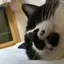 ぴのプロフィール画像