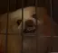 skのプロフィール画像