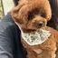 べあのプロフィール画像