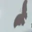 🦋のプロフィール画像
