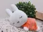 じゅんちゃんのプロフィール画像