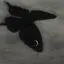ハルのプロフィール画像