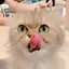 KAORUのプロフィール画像