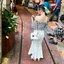 みゅのプロフィール画像