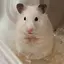 とうふのプロフィール画像