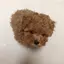 瑠菜のプロフィール画像
