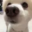 美和のプロフィール画像