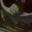 runaのプロフィール画像