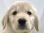 まゆみのプロフィール画像