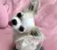 けいちゃんのプロフィール画像