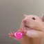桜のプロフィール画像