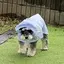 しゅわのプロフィール画像